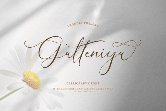 Galteniya: A Web Designer's Review of This Luxury Script Font